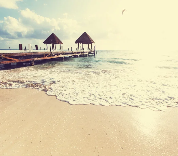 Tropical beach — Stock Photo, Image