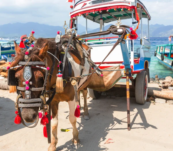 Vergoldeter Transport — Stockfoto