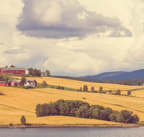 Landbouw — Stockfoto