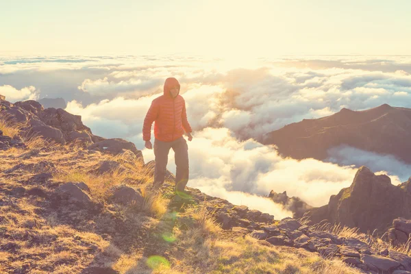 Montanhas na madeira — Fotografia de Stock