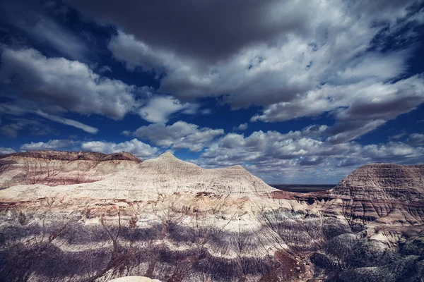 Prairie landscape — Stock Photo, Image