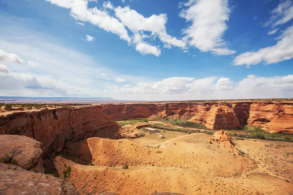 Amerikanska öknen — Stockfoto