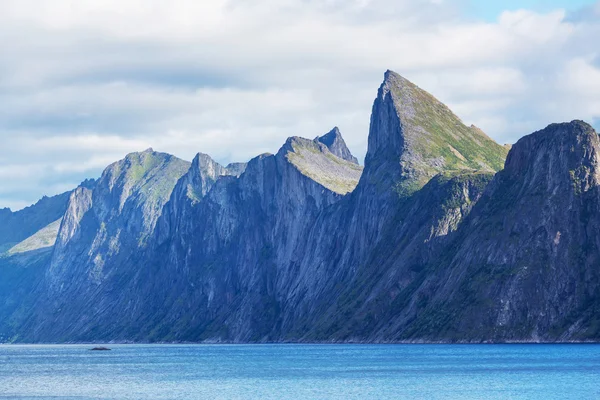 Senja Ordförande — Stockfoto