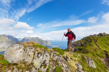Lofoten zammı