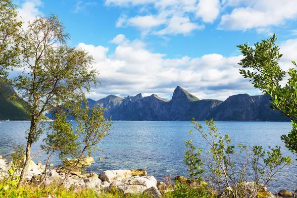 Senja ostrovy v Norsku — Stock fotografie