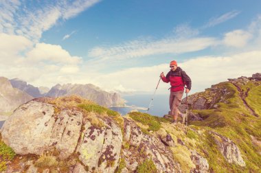 Lofoten zammı