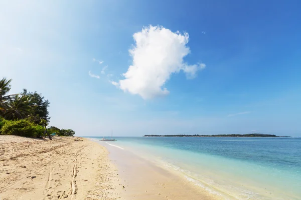 海滩上吉利 — 图库照片