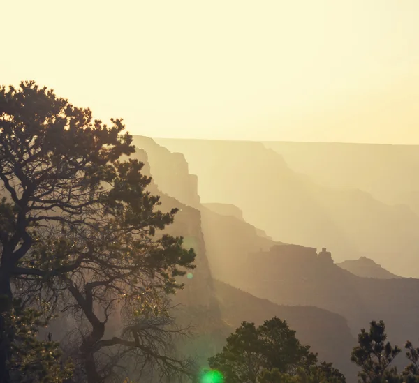 Grote Canyon — Stockfoto