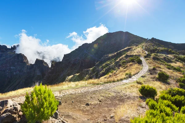 Madeira mountains — Stock Photo, Image