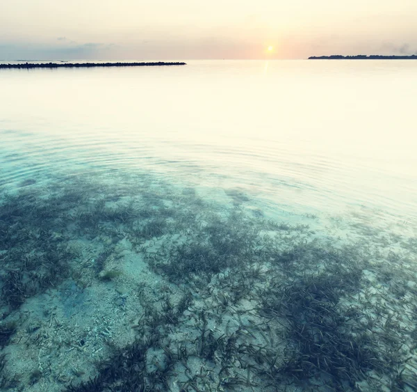 Beach on Gili — Stock Photo, Image