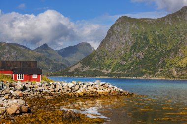Lofoten Adası
