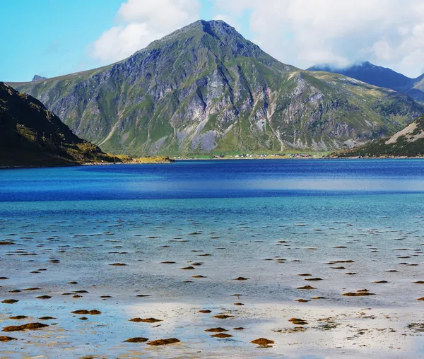 Wyspa Lofoten — Zdjęcie stockowe