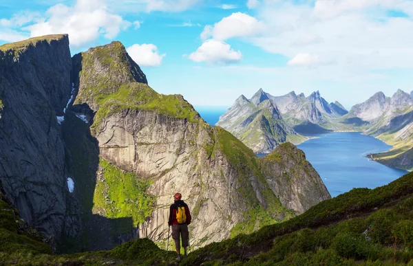 Wyspa Lofoten — Zdjęcie stockowe