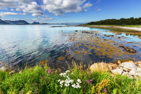 Northern Norway — Stock Image Northern Norway Stock Image