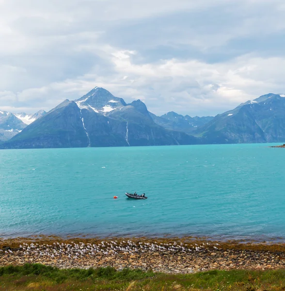 Northern Norway — Stock Image Northern Norway Royalty Free Stock Photos
