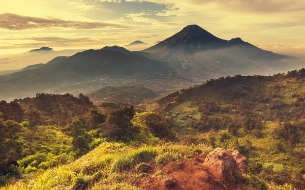 Java-Landschaft — Stockfoto