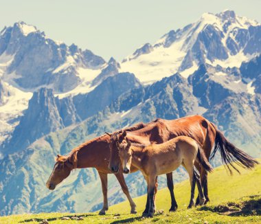 Dağların ortasında