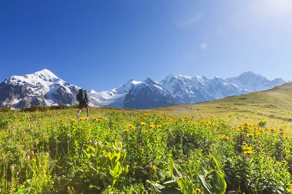 在山中徒步旅行 — 图库照片