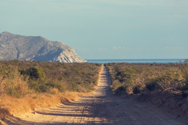 Baja California