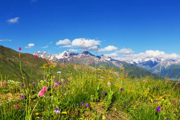 Caucasus mountains — Stock Photo, Image