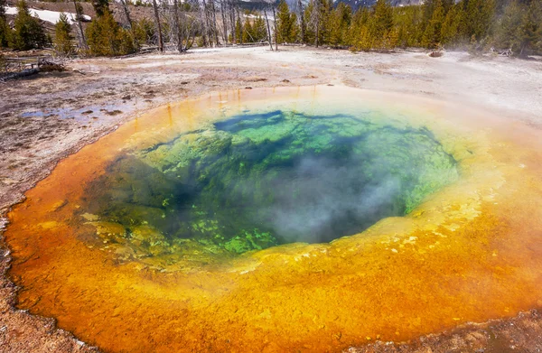 Morning glory pool — Stockfoto