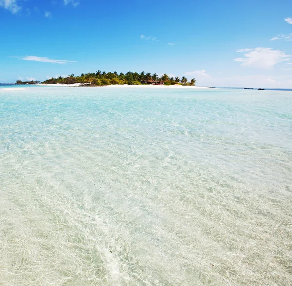 Tropisch eiland — Stockfoto