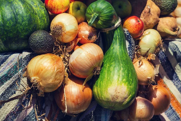 Cosecha de otoño — Foto de Stock