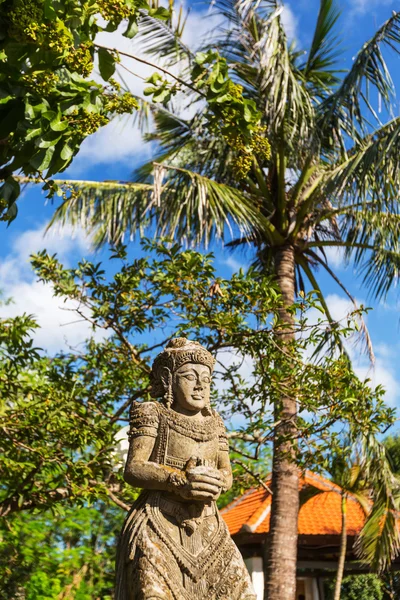 Statue à Bali — Photo