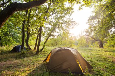 Yeşil ormandaki ağaçların arasında asılı modern turist çadırı