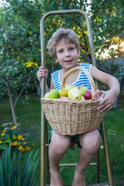 Küçük çocuk bahçedeki sonbahar hasadını topluyor.