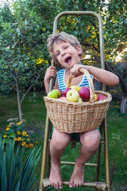 Küçük çocuk bahçedeki sonbahar hasadını topluyor.
