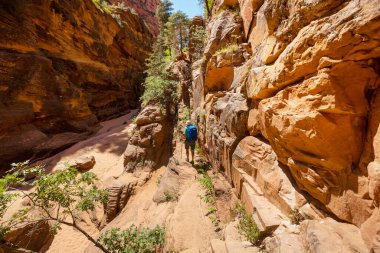 Utah dağlarında yürüyüş. Alışılmadık doğal manzaralarda yürüyüş. Fantastik kumtaşı oluşumları.