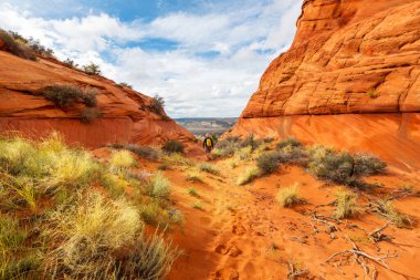 Vermillion Cliffs Vahşi Doğa Bölgesi, Utah ve Arizona 'dan Çakal Buttes.