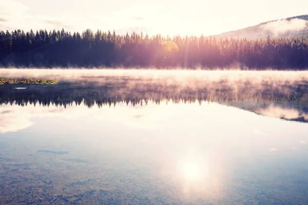 山の中で早朝の霧深い山の湖 — ストック写真
