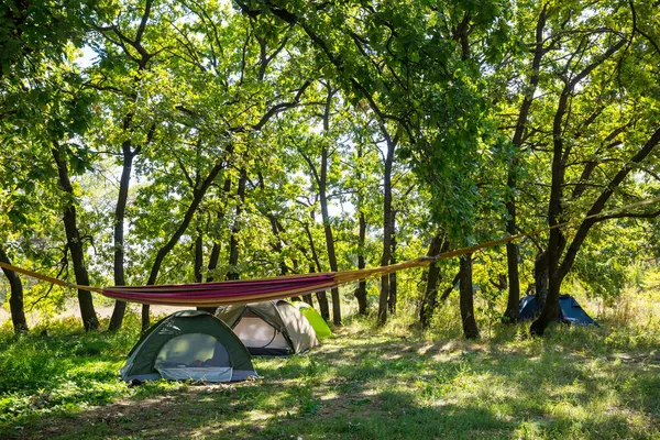 Tält Den Gröna Vårskogen — Stockfoto