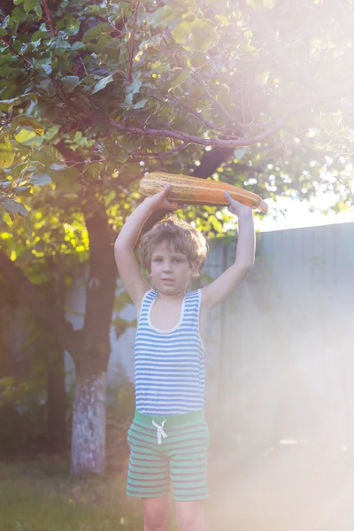 小男孩正在花园里收割秋天的庄稼 — 图库照片
