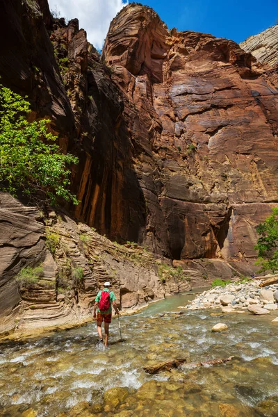 Muž Túře Kaňonu Letních Horách Utah Usa — Stock fotografie