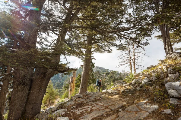 Belas Paisagens Naturais Turquia Montanhas Maneira Lícia Famosa Entre Caminhantes — Fotografia de Stock