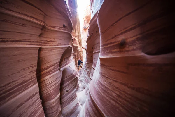 Slot Canyon Grand Staircase Escalante Nationalpark Utah Usa Ungewöhnlich Bunte — Stockfoto