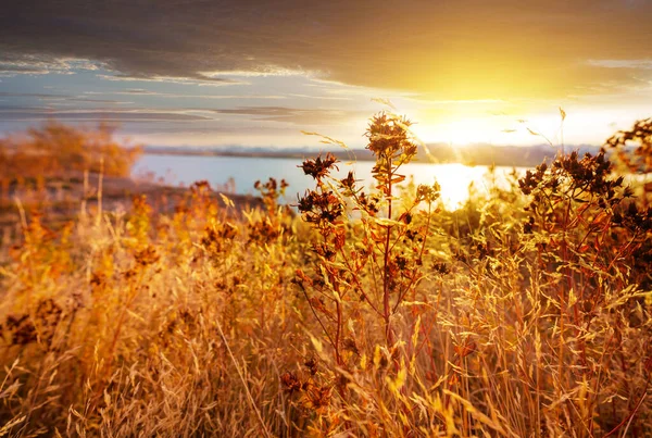 五彩缤纷的秋天草甸在群山中 自然背景 — 图库照片