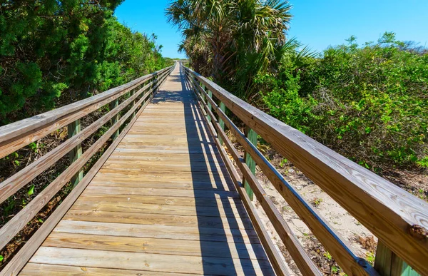 Promenada Bagnach Parku Narodowego Everglades Floryda Usa — Zdjęcie stockowe