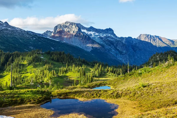 Vacker Bergstopp Norra Cascade Range Washington Usa — Stockfoto
