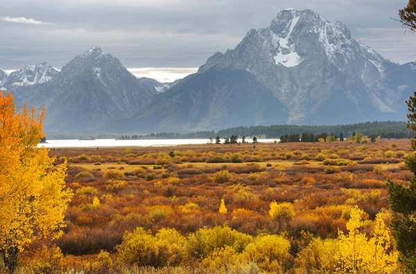 Jasné Barvy Podzimní Sezóny Grand Teton National Park Wyoming Usa — Stock fotografie