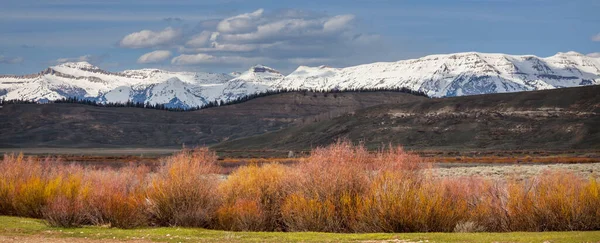 Grand Teton National Park Wyoming Usa — Stock fotografie