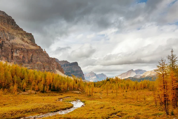 Lindos Larches Dourados Nas Montanhas Época Outono — Fotografia de Stock