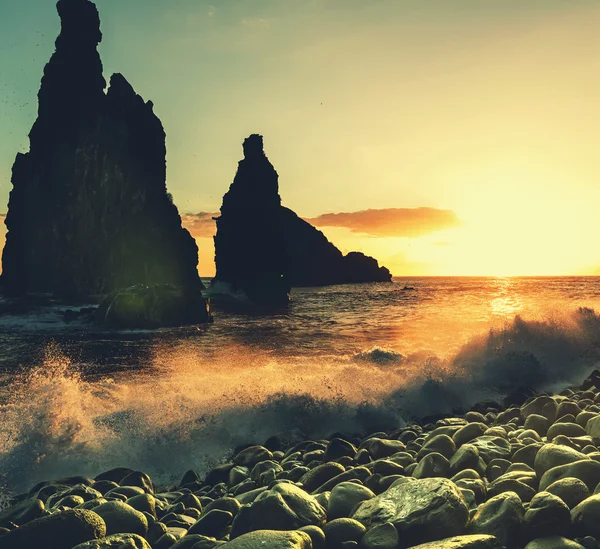 Costa de Madeira — Foto de Stock