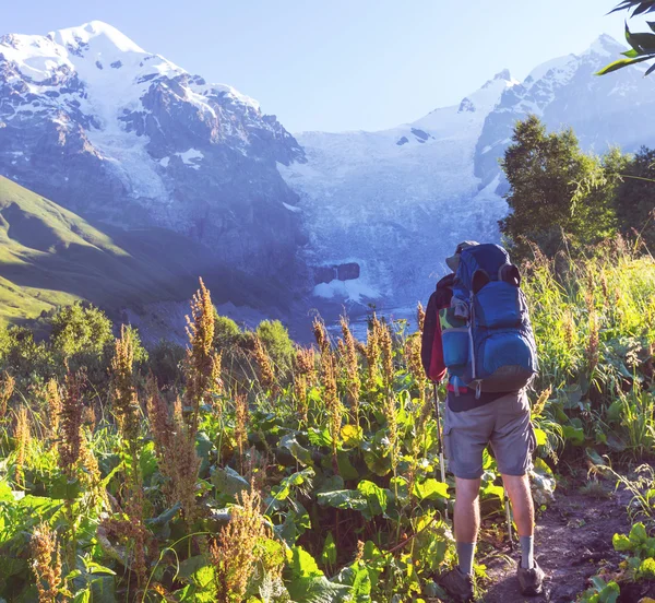 Wandelen in de bergen — Stockfoto