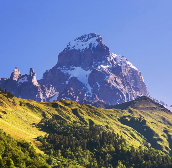 Dır tepe — Stok fotoğraf