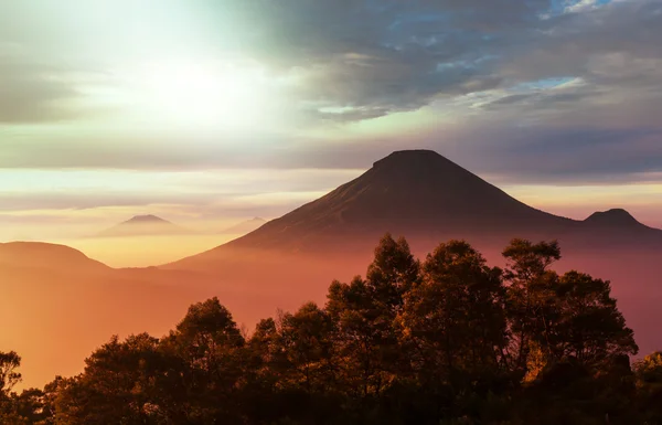 Paisagens Java — Fotografia de Stock