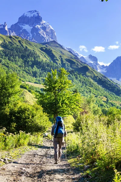 在山中徒步旅行 — 图库照片